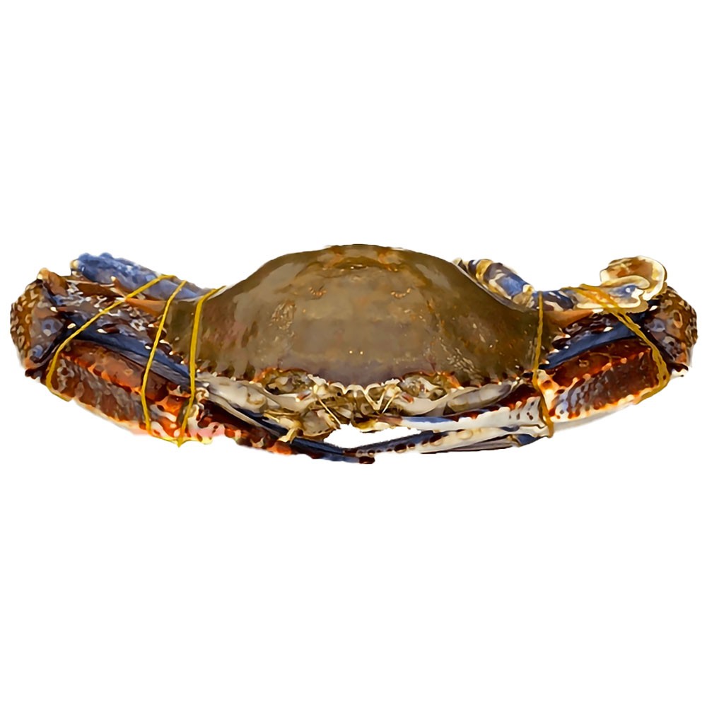 Crab* Whole West Africa 400+ gr. IWP 2 x 4 kg.