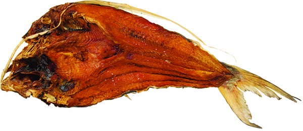 Koepila* - Catfish 1 x 5 kg.