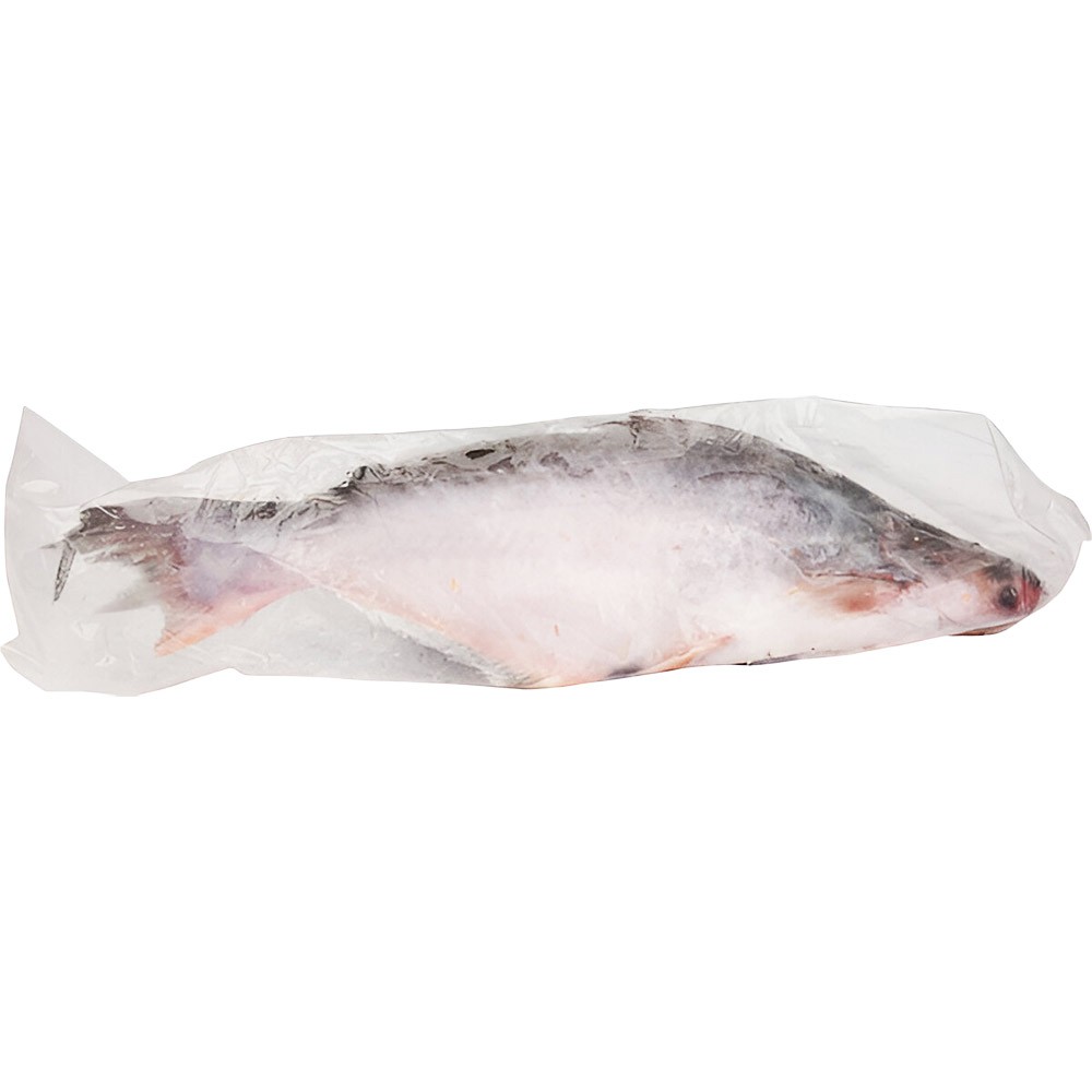 Catfish* Malangua Pangasius White G 500-800 gr. 1 x 4 kg.