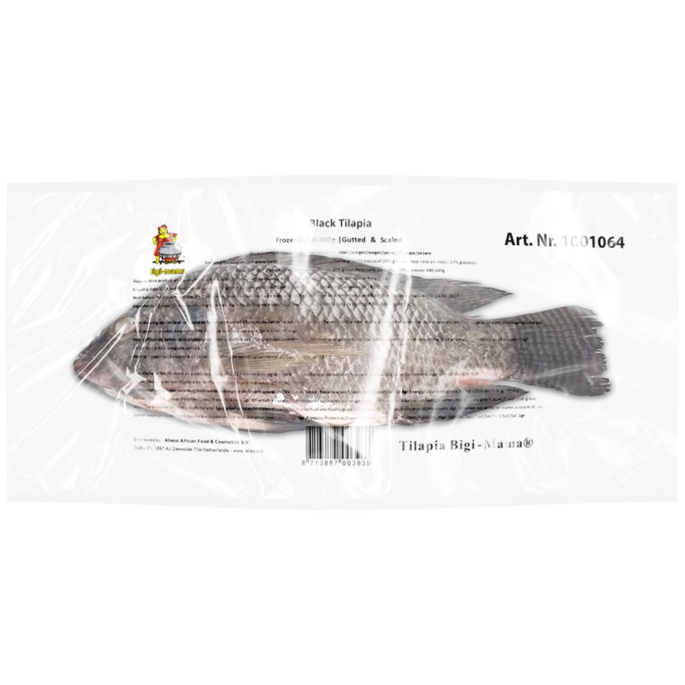 Tilapia* Black - Bigi Mama 500/800 G/S IWP 1 x 4 kg.