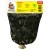 Ugu* Leaves - Cameroon Bigi Mama 20 x 500 gr.