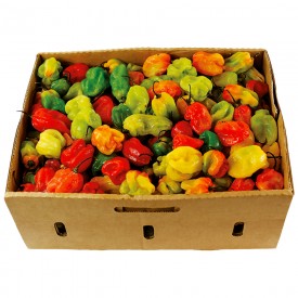 Pepper* Hot Pili-Pili Frozen Box 4 kg.
