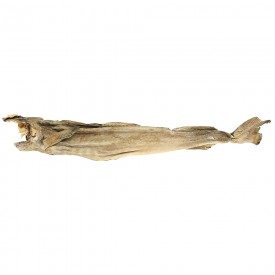 Stockfish Cod Whole - 20/70 Pre-Cut Box 1 x 5 kg.