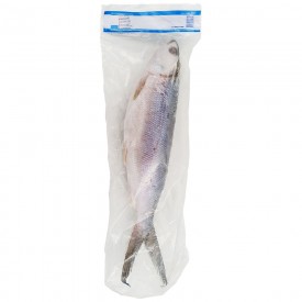 Milkfish* Whole 500-800 gr. IWP 1 x 10 kg.