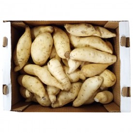 Sweet Potatoes Brasil White 10 kg.