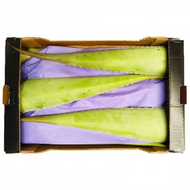 Aloe Vera Fresh Leaves Box 5 kg.