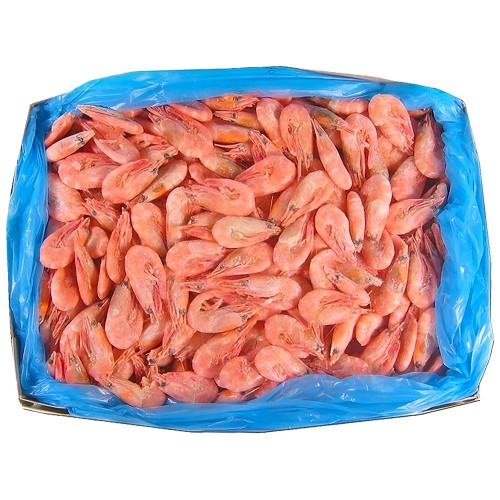 Shrimps* Red Steur Garnaal HOSO 120+ 5 kg.