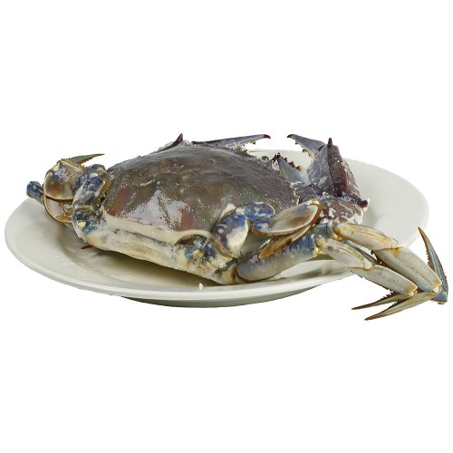 Crab* Whole Nigeria IWP 1 x 8 kg.