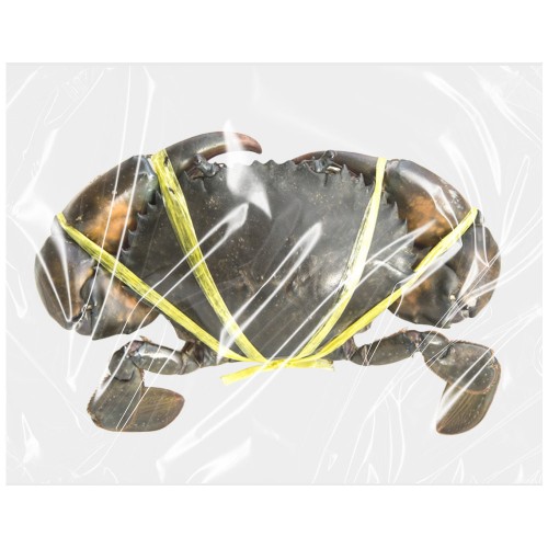 Crab* Whole Nigeria IWP 1 x 8 kg.