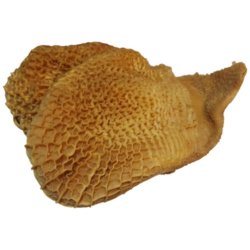 Cow Stomach* Tripe Honeycomb Ijebu Style 16 x 1 kg.