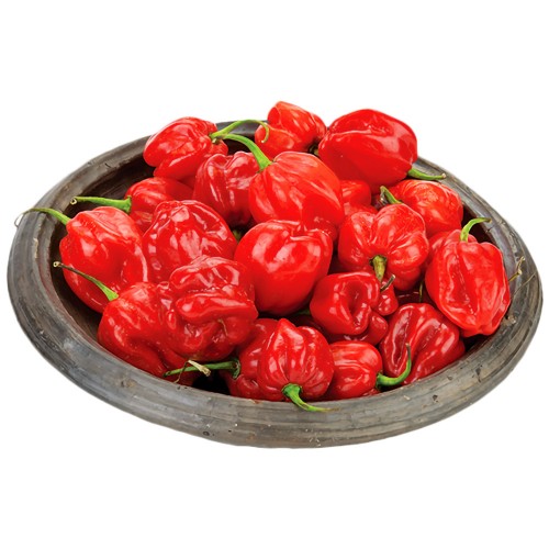 Pepper Hot Pili-Pili Red Uganda 3.6 kg.