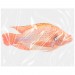 Tilapia* Red - Bigi Mama 500/800 G/S IWP 1 x 4 kg.